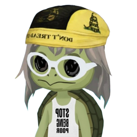 TurtleAion Character